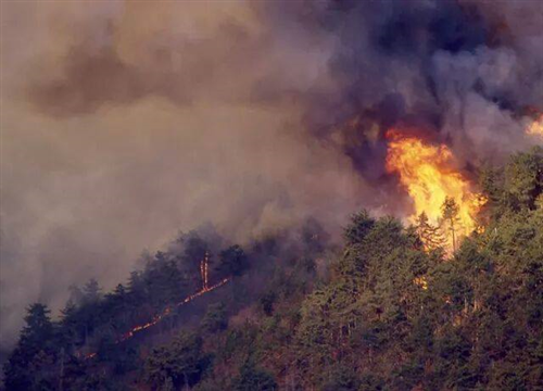divieto di  bruciamento sterpaglie e potature. Inizio stato di massima pericolosità per incendi boschivi.